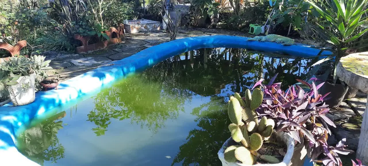 کلبه تکخواب نیکو