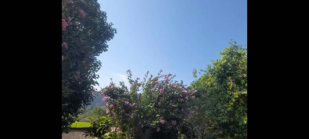 اقامتگاه کف خواب یزدان