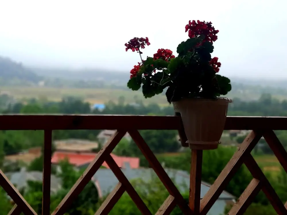 کلبه جنگلی دو خواب ماسال