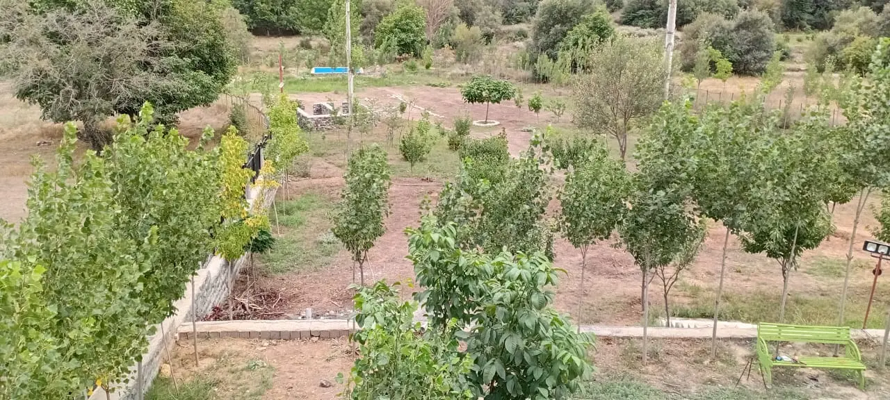 کلبه سوئیسی رابون