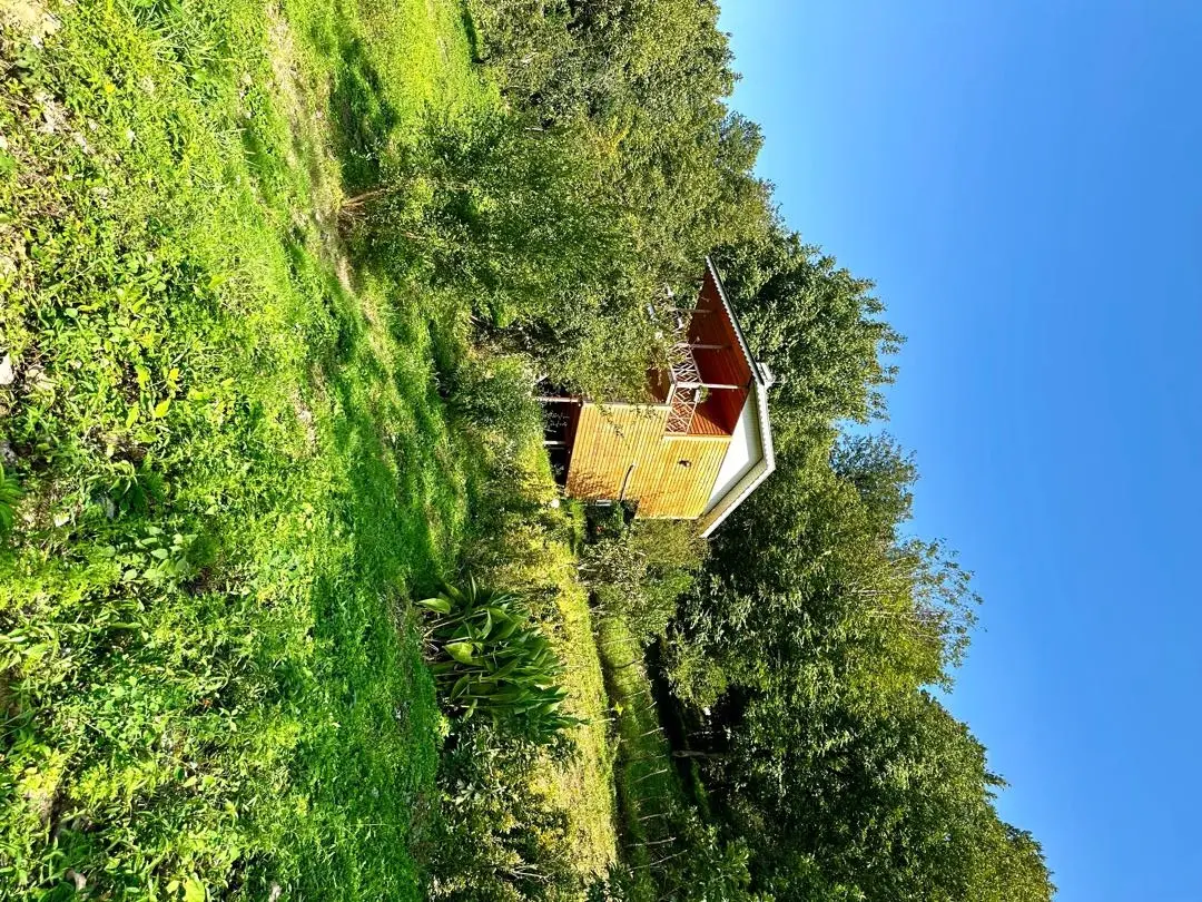 کلبه جنگلی دو خواب ماسال