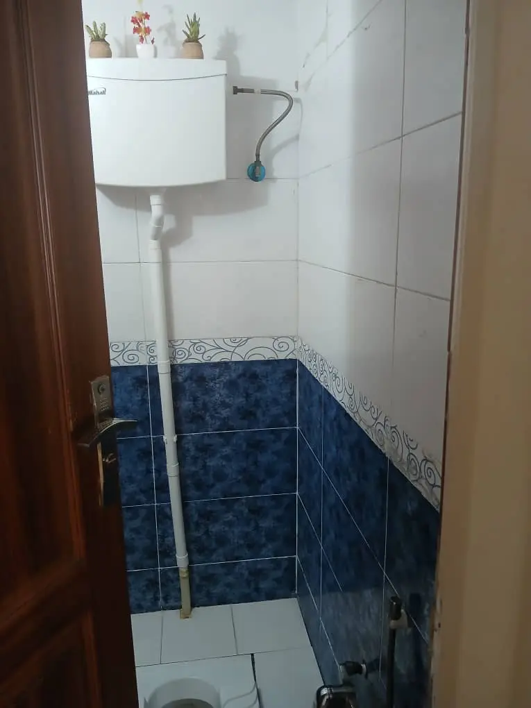 واحد تک خواب حصارک امیر پاشا