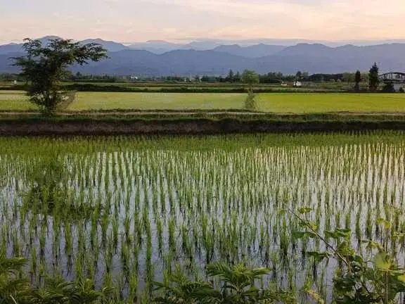 ویلای دو خواب گلایل نزدیک جنگل گیسوم 