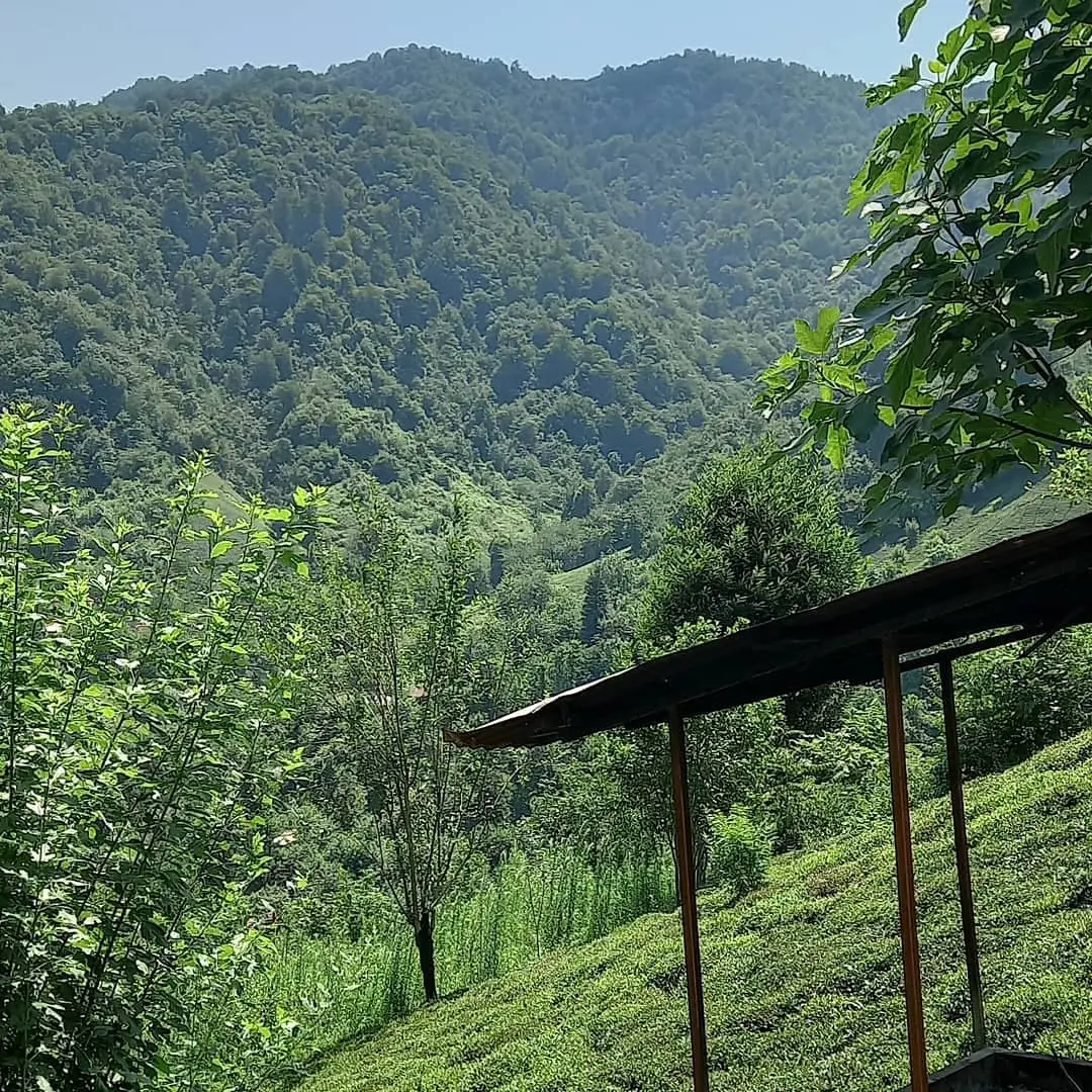 ویلای جنگلی در قلعه رودخان