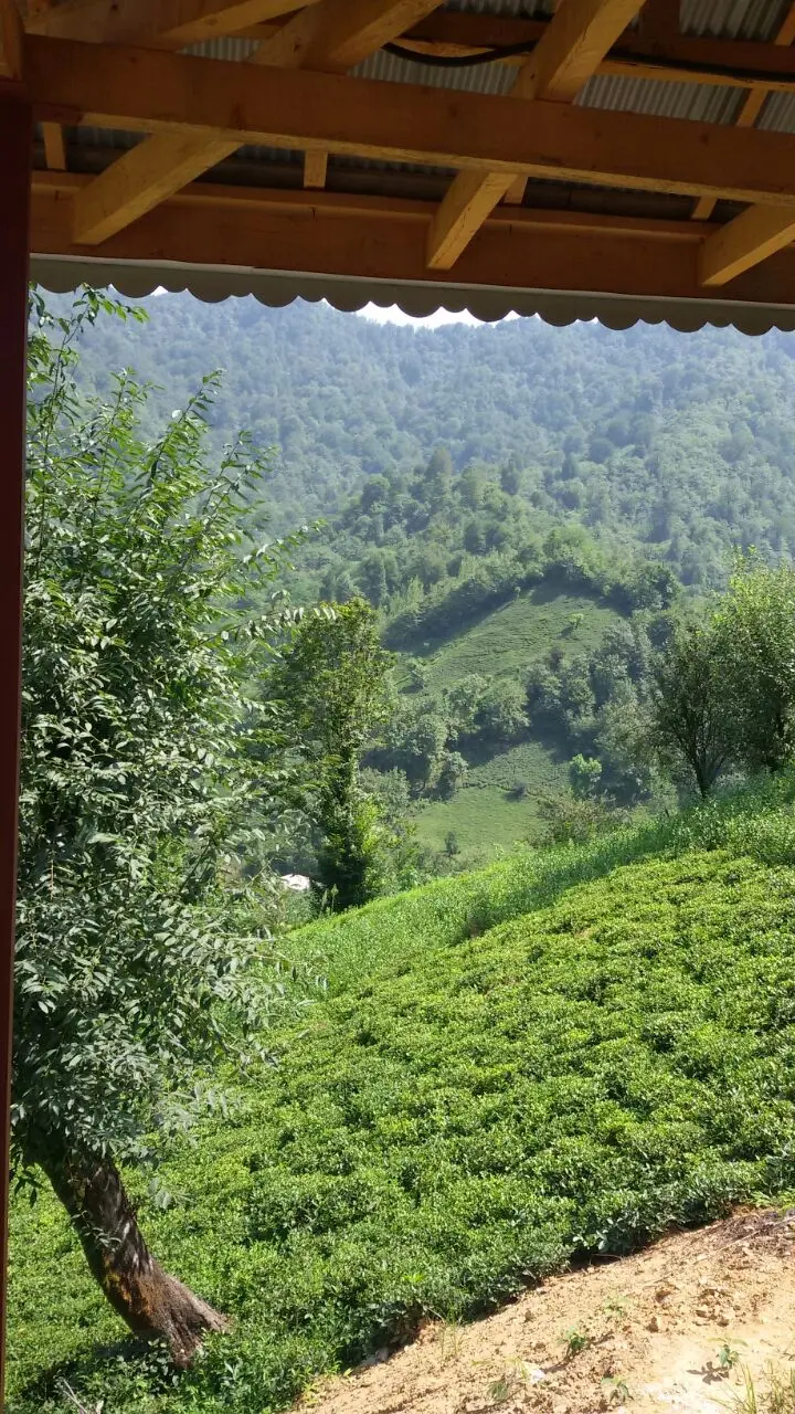 ویلای جنگلی در قلعه رودخان