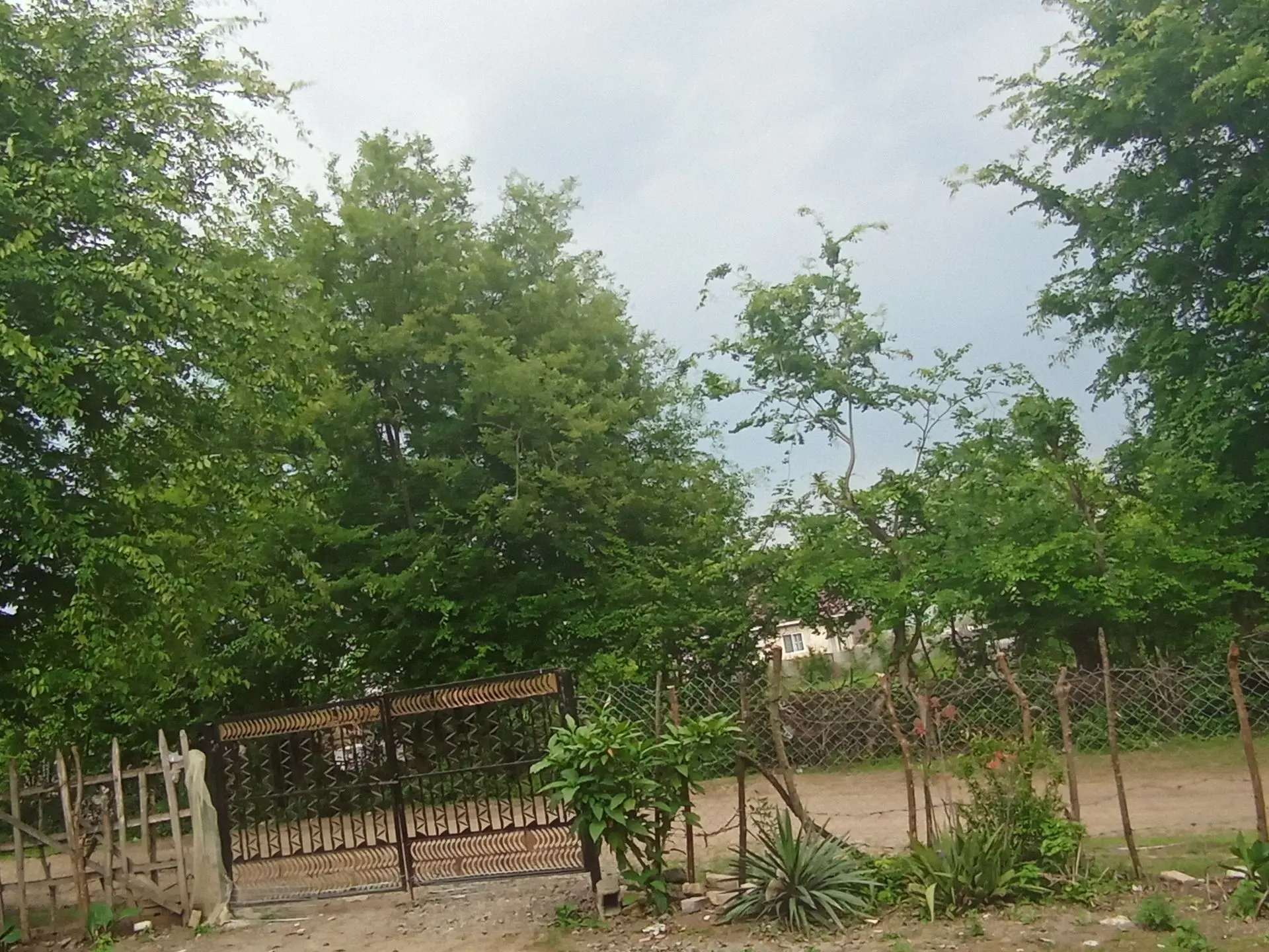 ویلایی دو خوابه جنگلی 