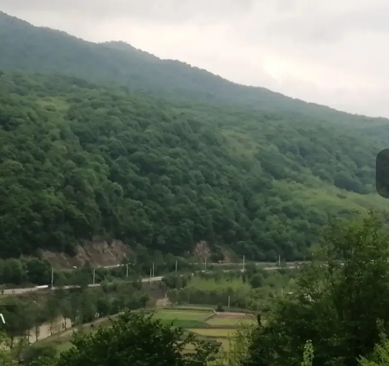 کلبه سوئیسی دوبلکس آلپ
