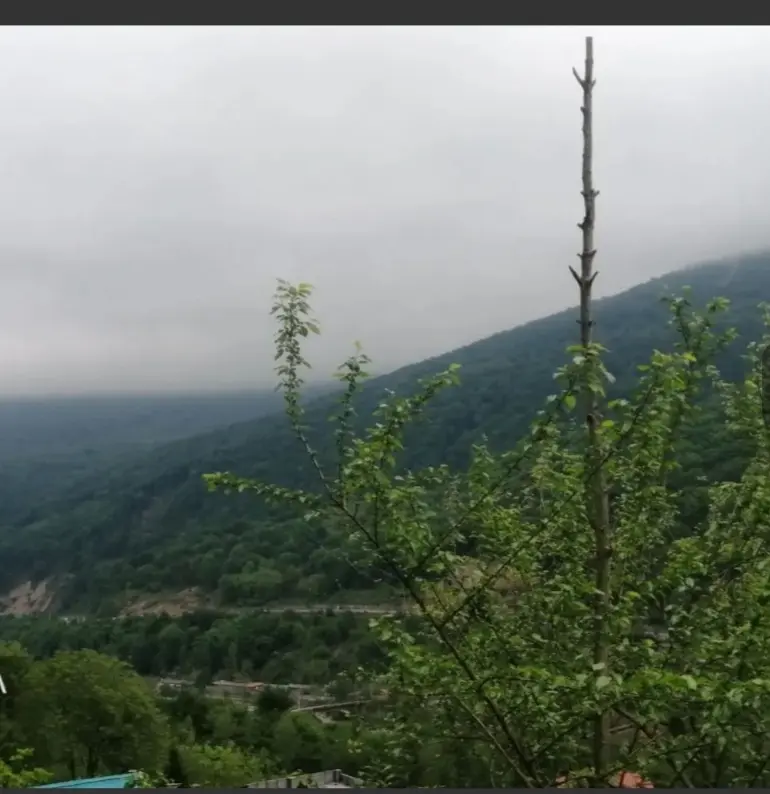 کلبه سوئیسی دوبلکس آلپ