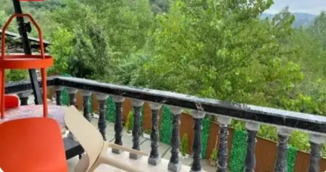 کلبه سوئیسی جکوزی دار رووا