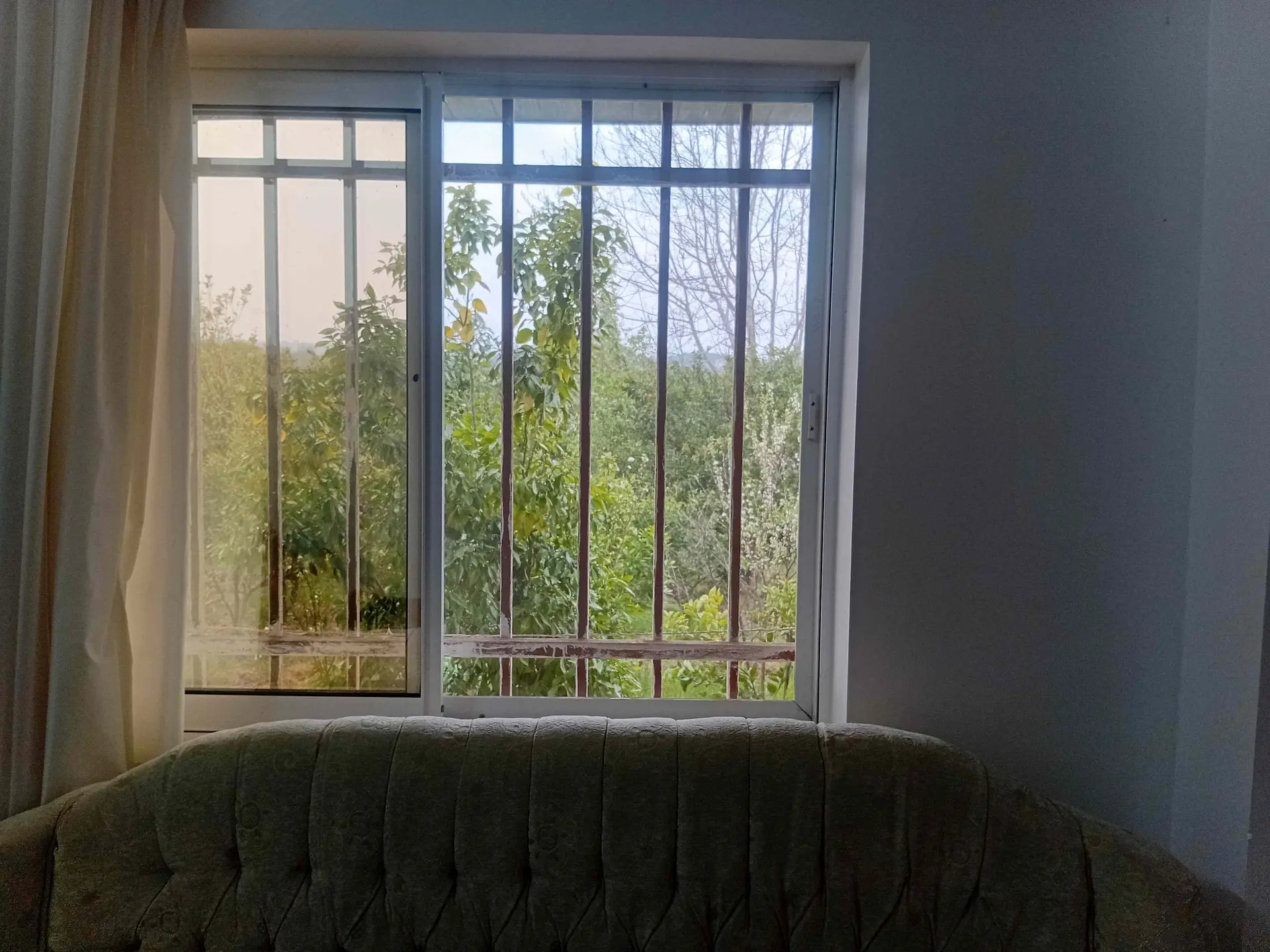 ویلای تک خوابه سرسبز