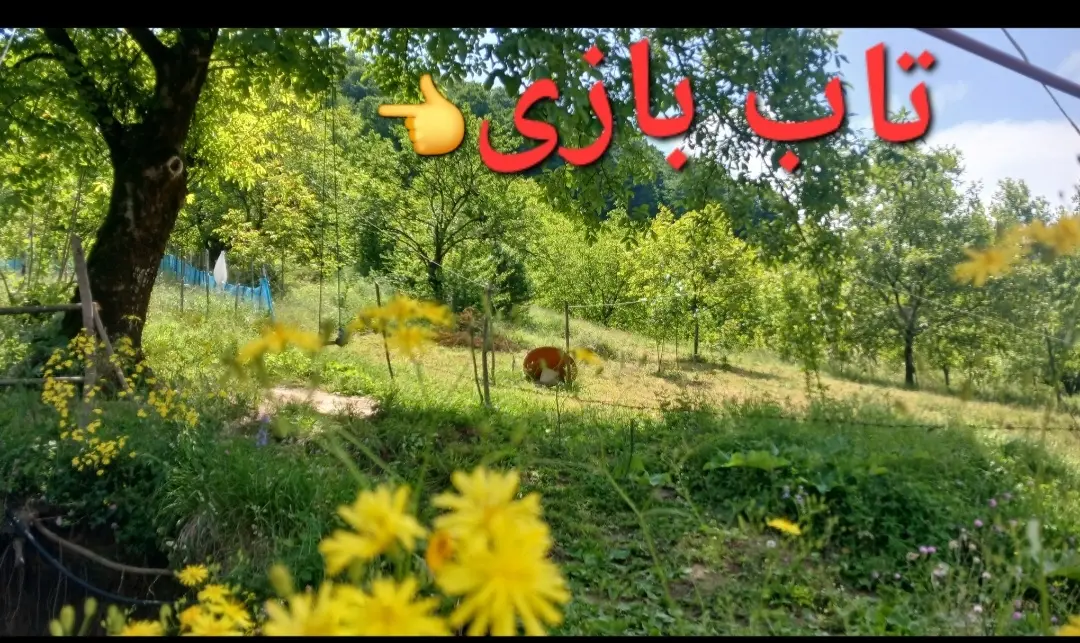 ویلای جنگلی گردنه حیران