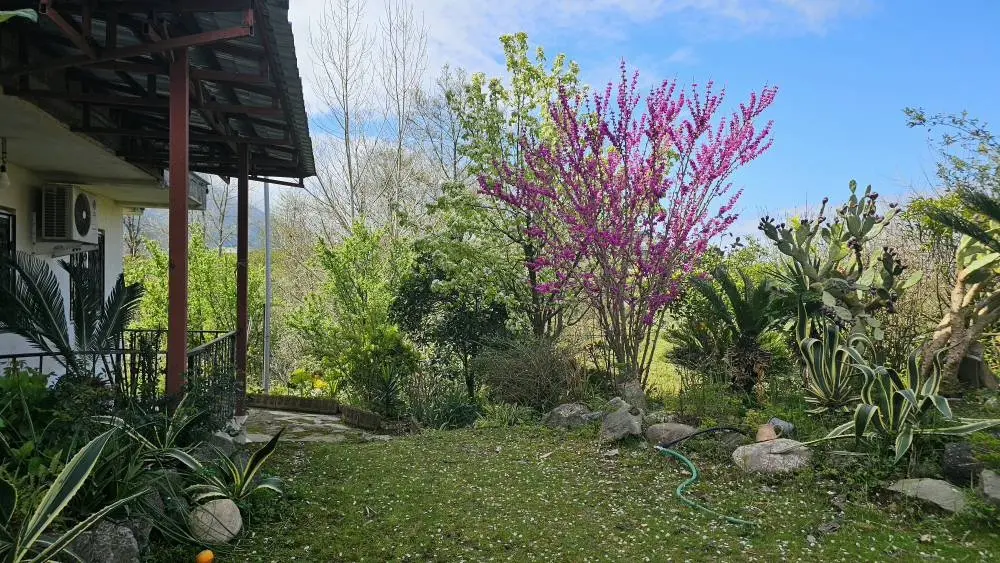 باغ ویلای زرین