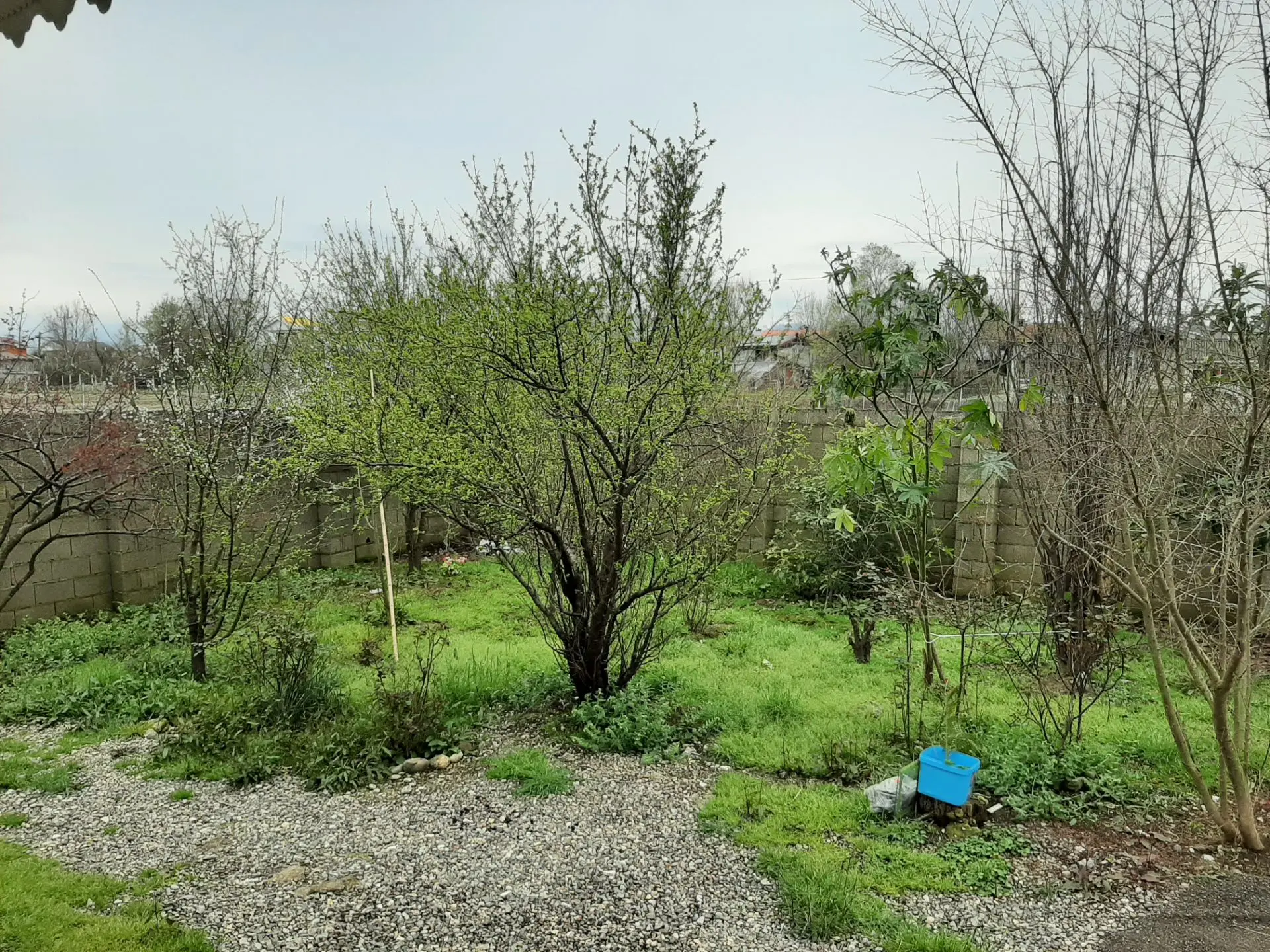 ویلای دربست مهتاب اسکان رودخان