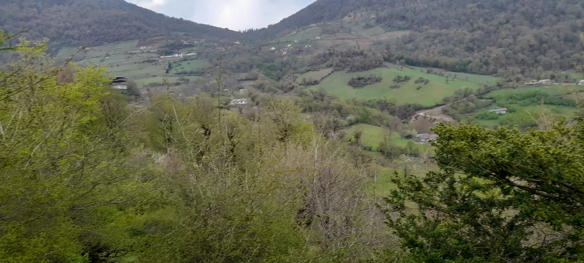 واحد تک خواب در دل طبیعت