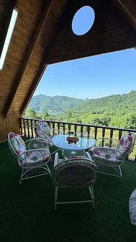 کلبه جنگلی استخر دار دالخانی