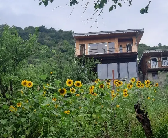 کلبه چوبی دوبلکس بام سبز ماسال