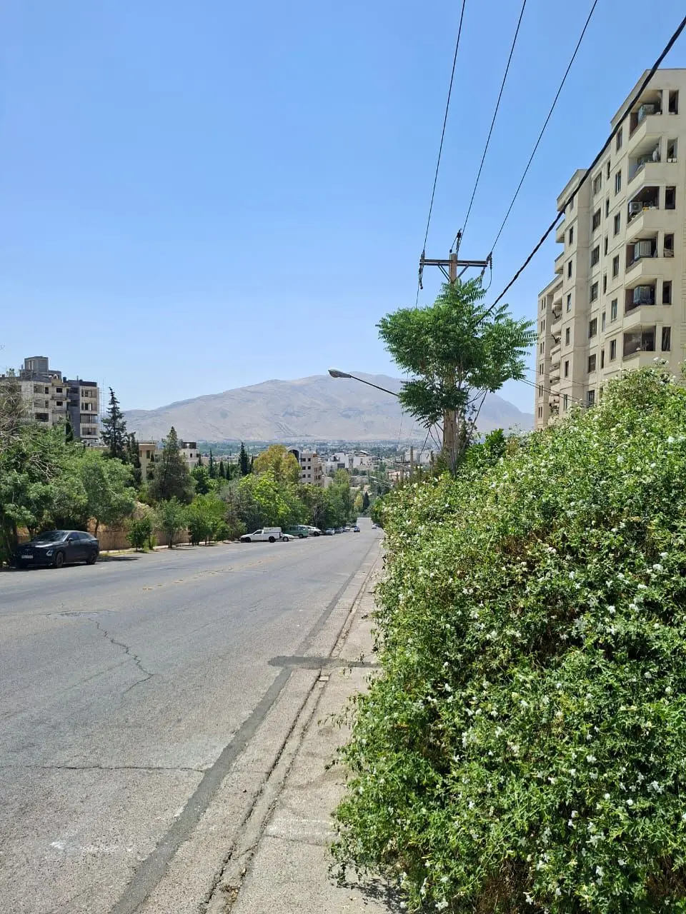 آپارتمان سه خوابه چوگیاه 2