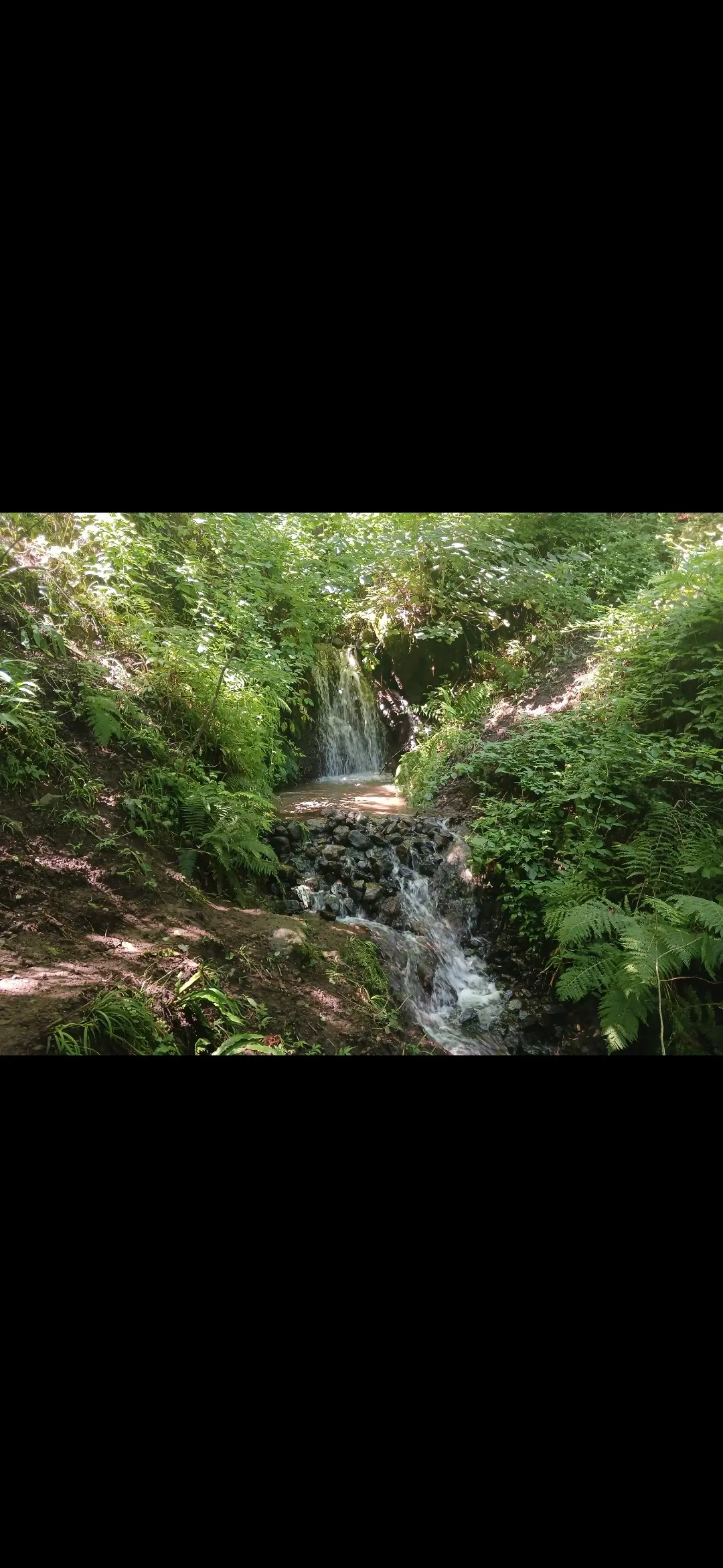 ویلای جنگلی گردنه حیران