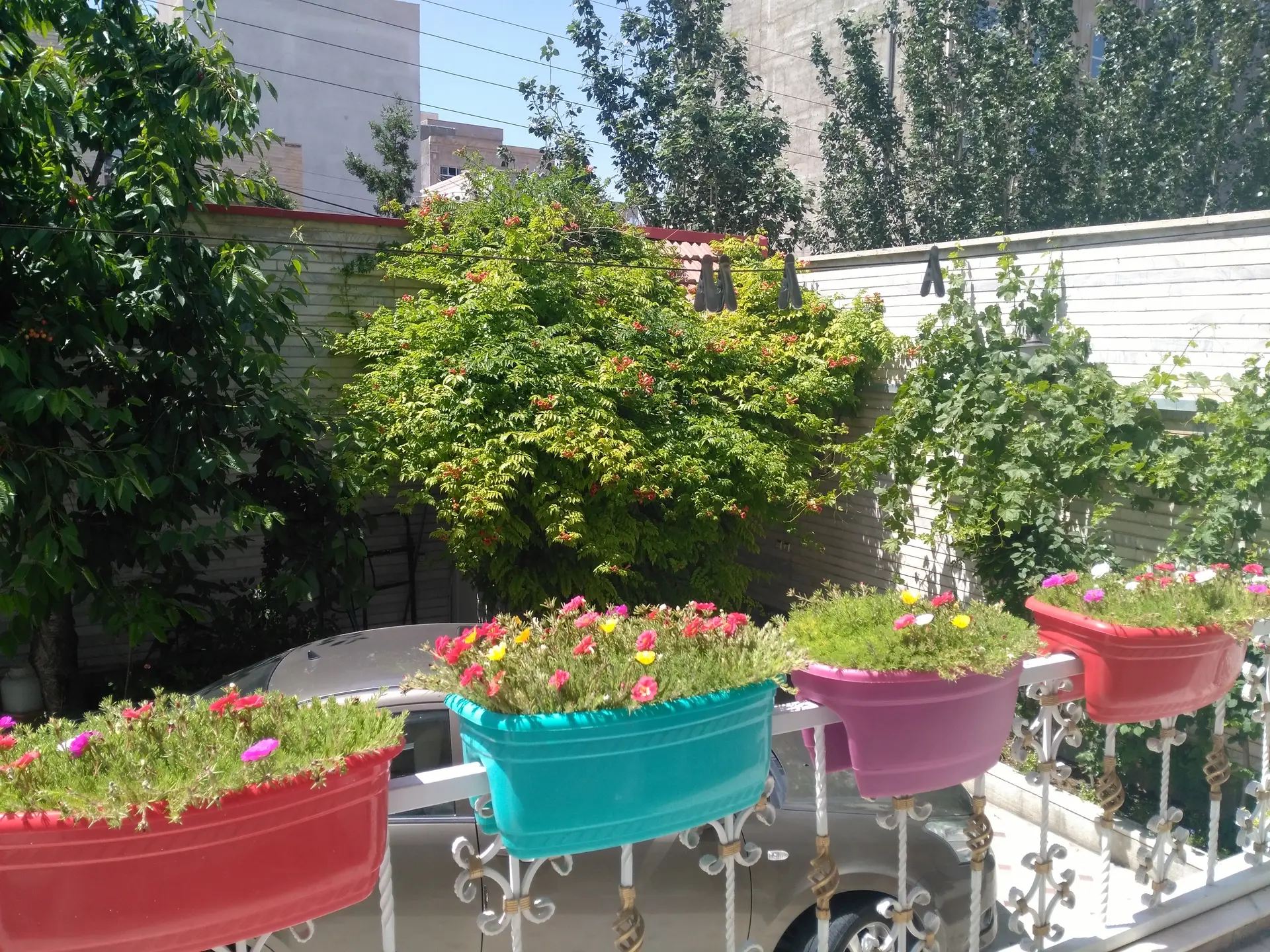 دوخوابه گرین لایف لاکچری ائل گلی واحد3