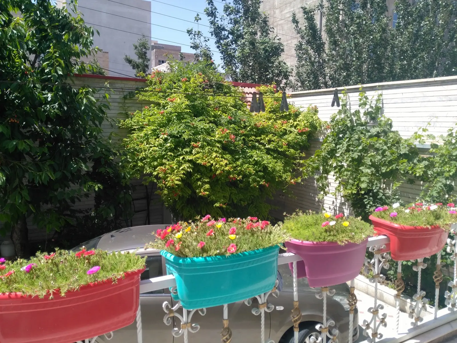 سوئیت گرین لایف ائل گلی تبریز پرواز واحد 1