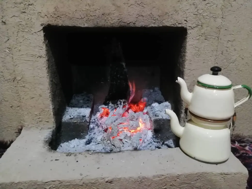 اقامتگاه بوم گردی نارستان ارسنجان
