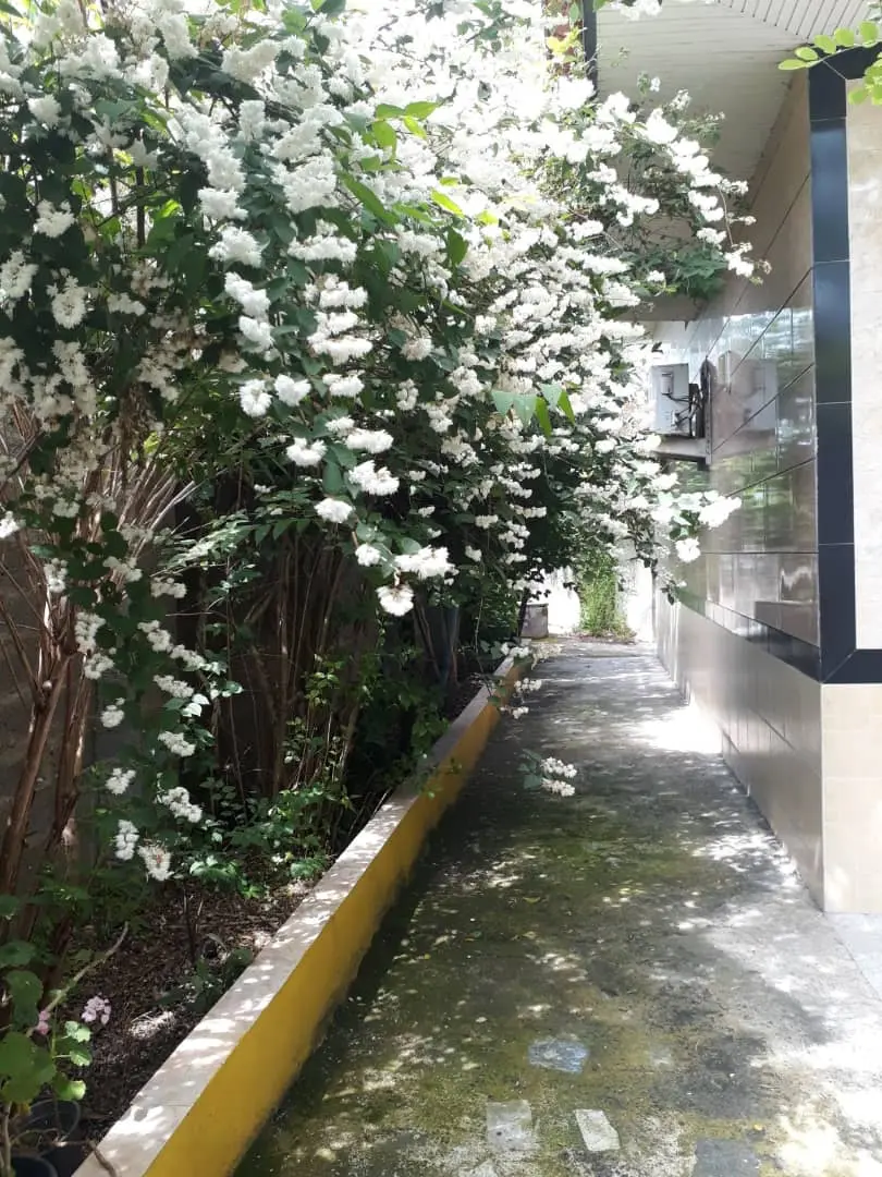 اجاره منزل روزانه در رشت