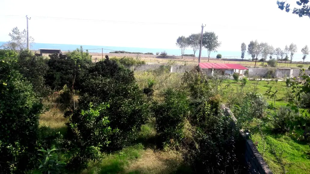 اجاره ویلا ساحلی در تالش