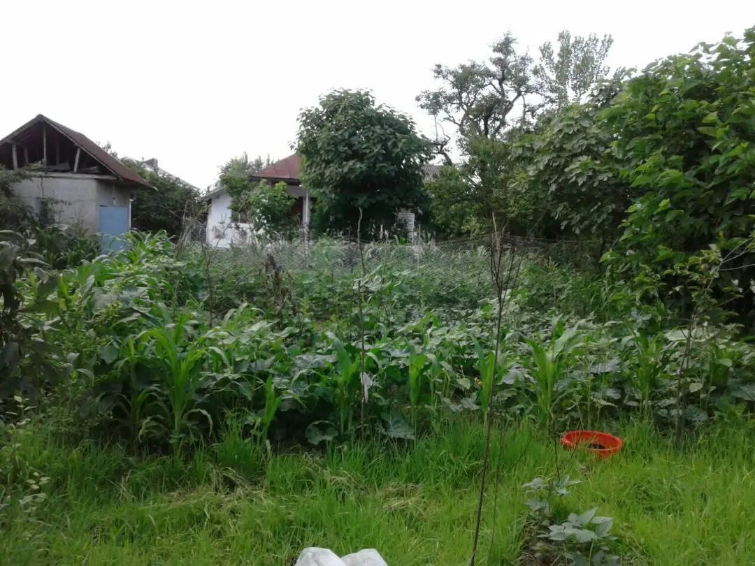 خانه روستایی در سیاه درویشان
