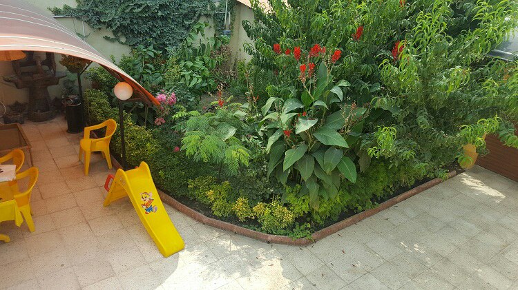 اجاره ویلای ساحلی در فریدونکنار
