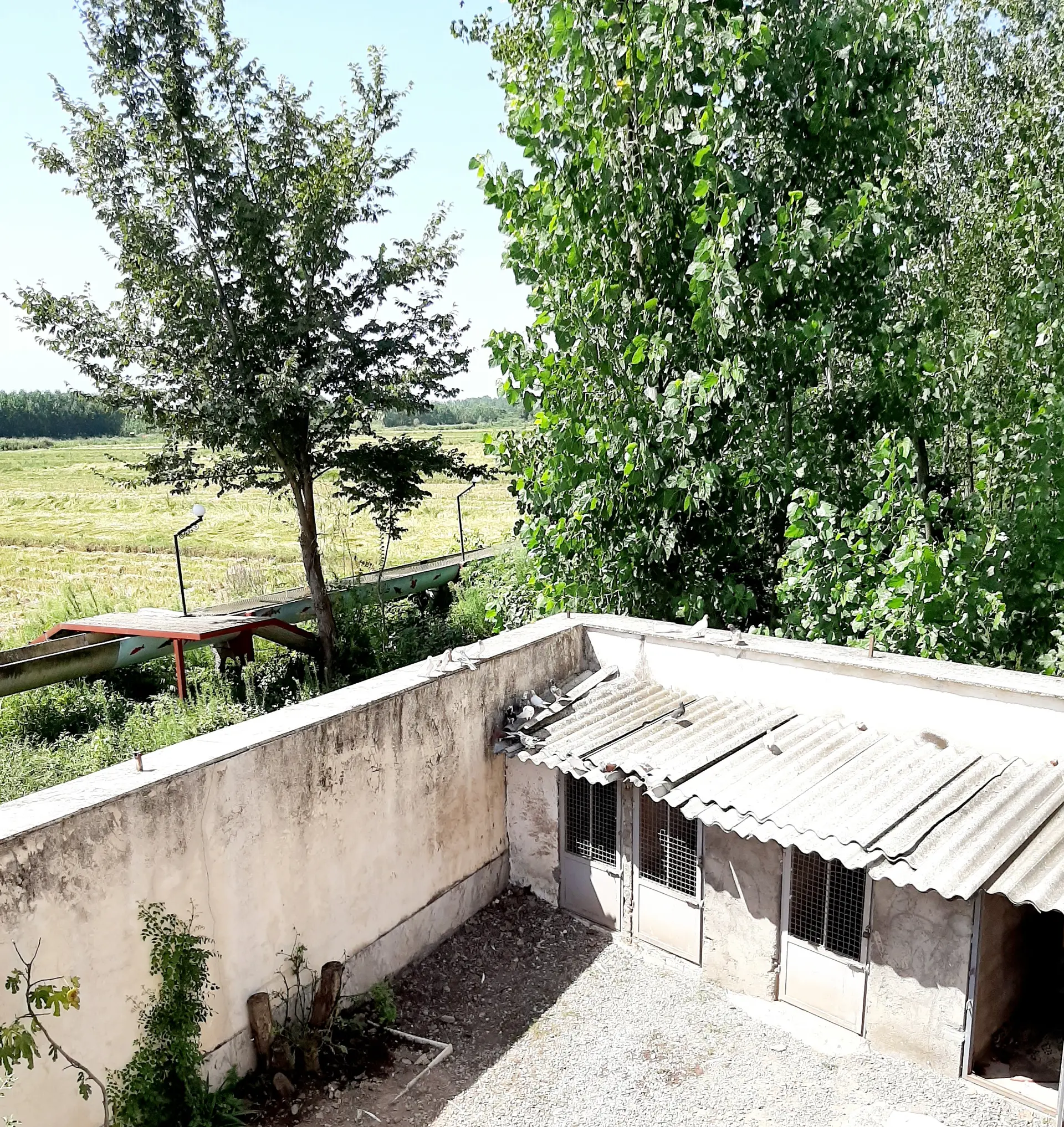 اجاره ویلا آستانه اشرفیه