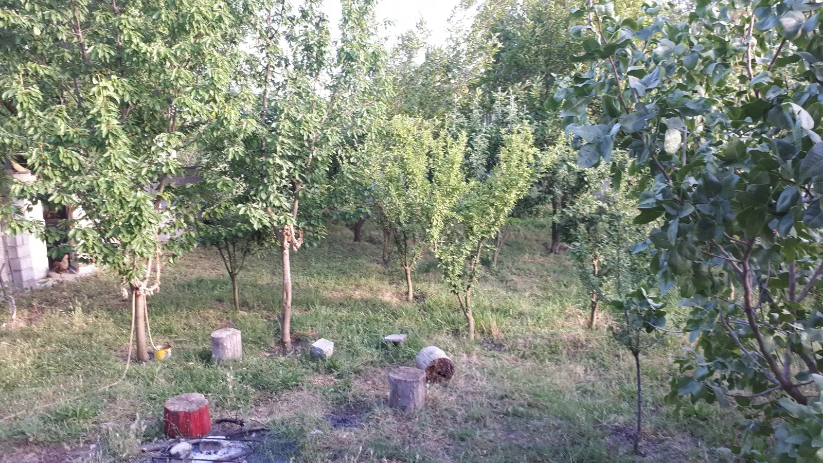 خانه باغ در پارس آباد
