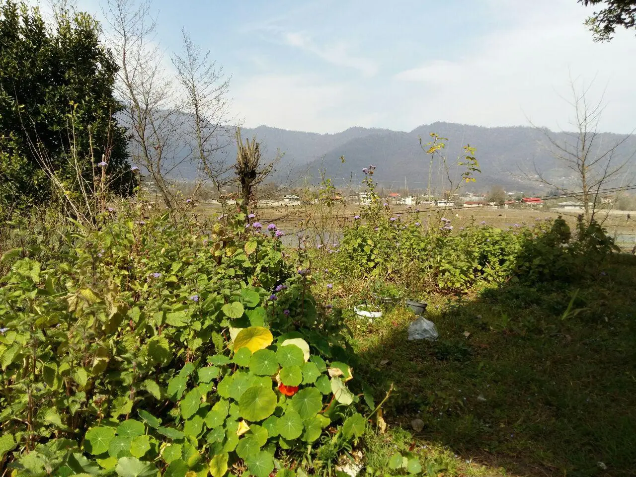 ویلا روستایی ماسال