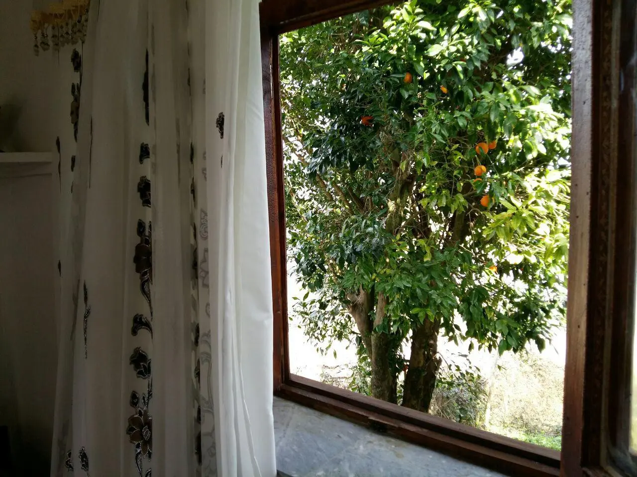 ویلا روستایی ماسال