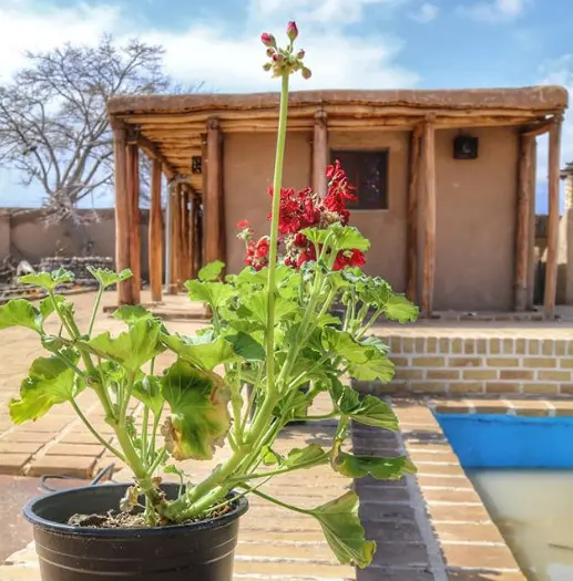 اجاره اقامتگاه بومگردی عمارت کهبد بسطام