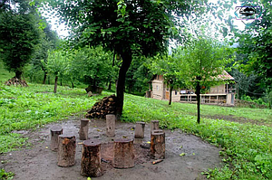 اجاره کلبه جنگلی روزانه در سوادکوه