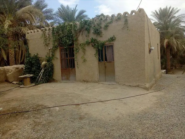 اجاره خانه روستایی آفتاب ریگان در بم