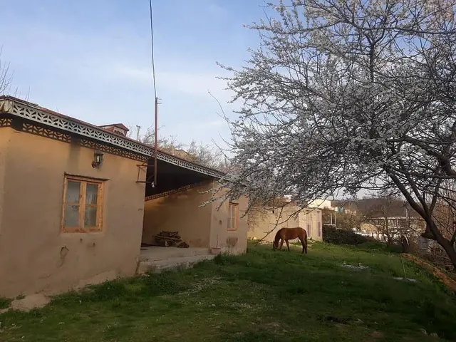 اجاره اقامتگاه بوم گردی یاشیل در مراوه تپه