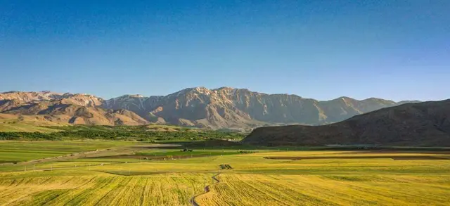 اقامتگاه مزرعه آفتاب چغاخور در بلداجی