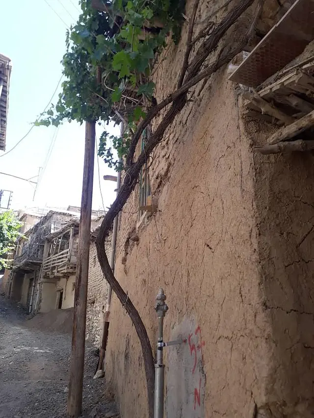 اجاره بوم گردی سیرکول در سنندج
