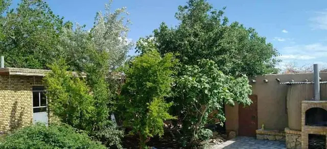 اقامتگاه بوم گردی باغ اعلا در میامی