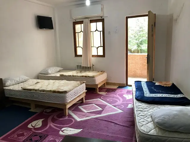 سوییت( رز ۱) جنگلی ، جاده قلعه رودخان
