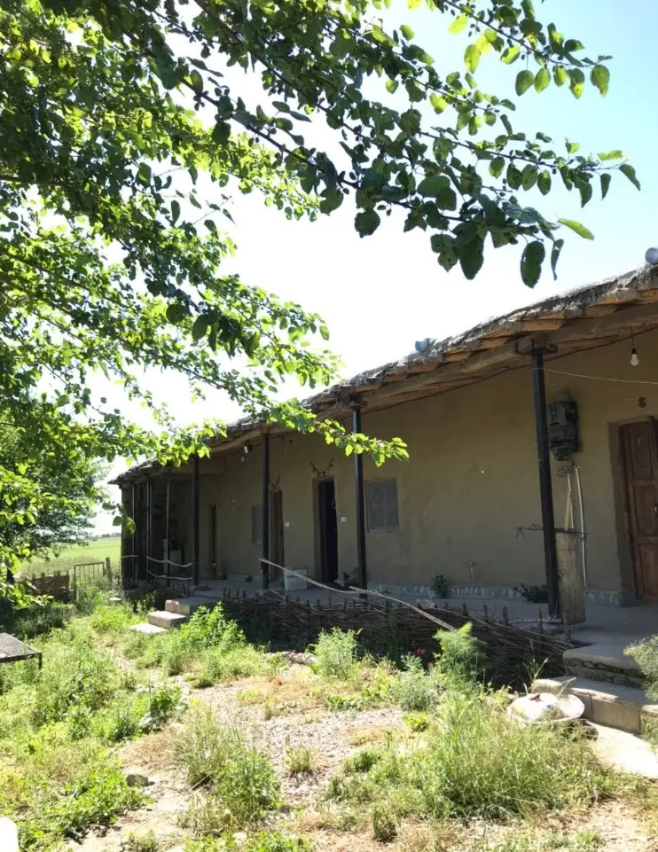 بوم گردی آرتق اق قمیش در گالیکش