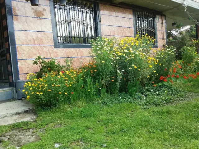 سوئیت تک خواب نزدیک جنگل و ساحل گیسوم