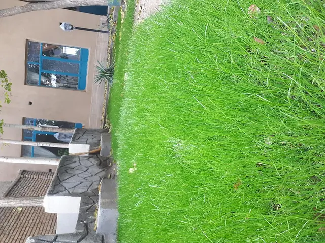 ویلایی سنتی دربست