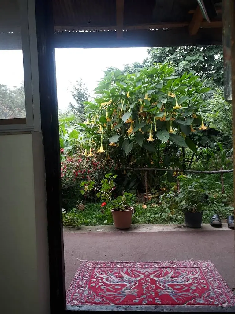 رزرو منزل یک خواب در ماسال