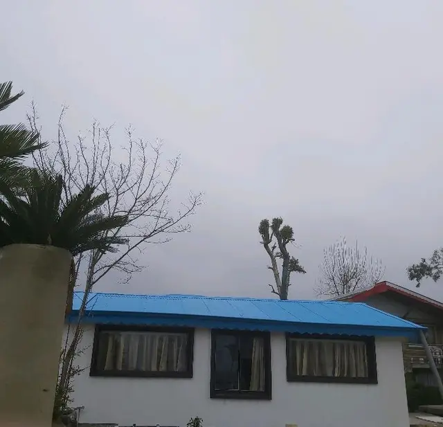سوئیت در ساحل قو انزلی