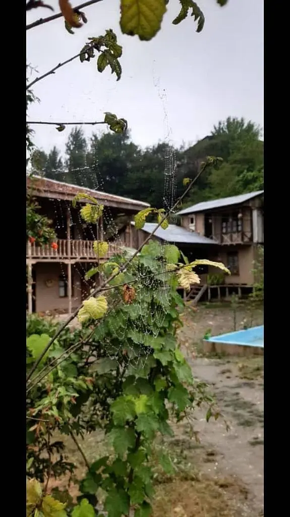 اجاره روزانه کلبه جنگلی در گرگان
