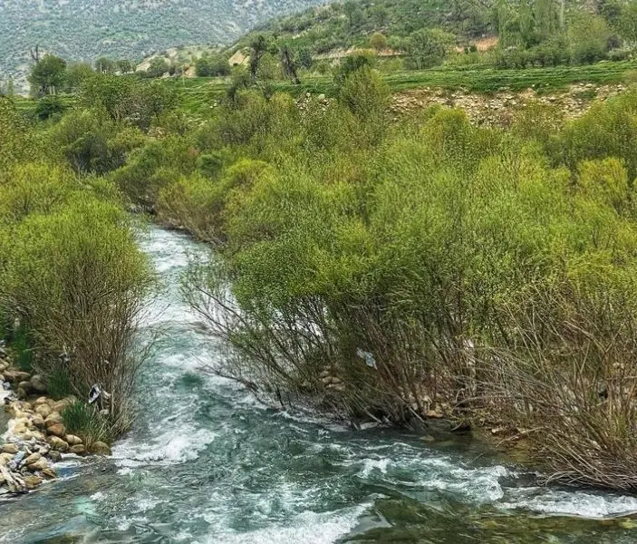 خانه باغ روزانه یاسوج