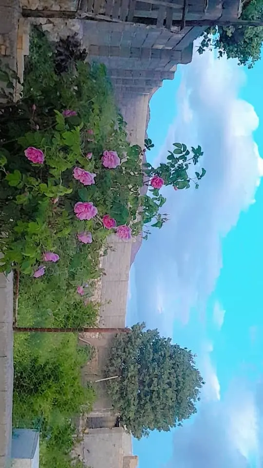 اجاره ویلا باغ در دهدز ایذه