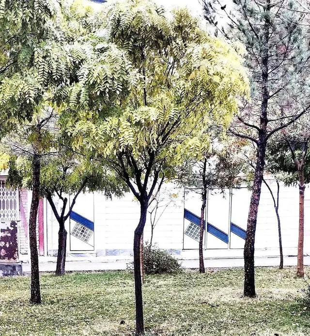 ویلایی همکف پردیس بروجرد 